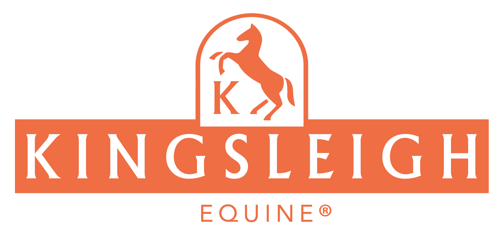 Kingsleigh Equine- CLEANING PRODUCTS FOR THE EQUINE INDUSTRY